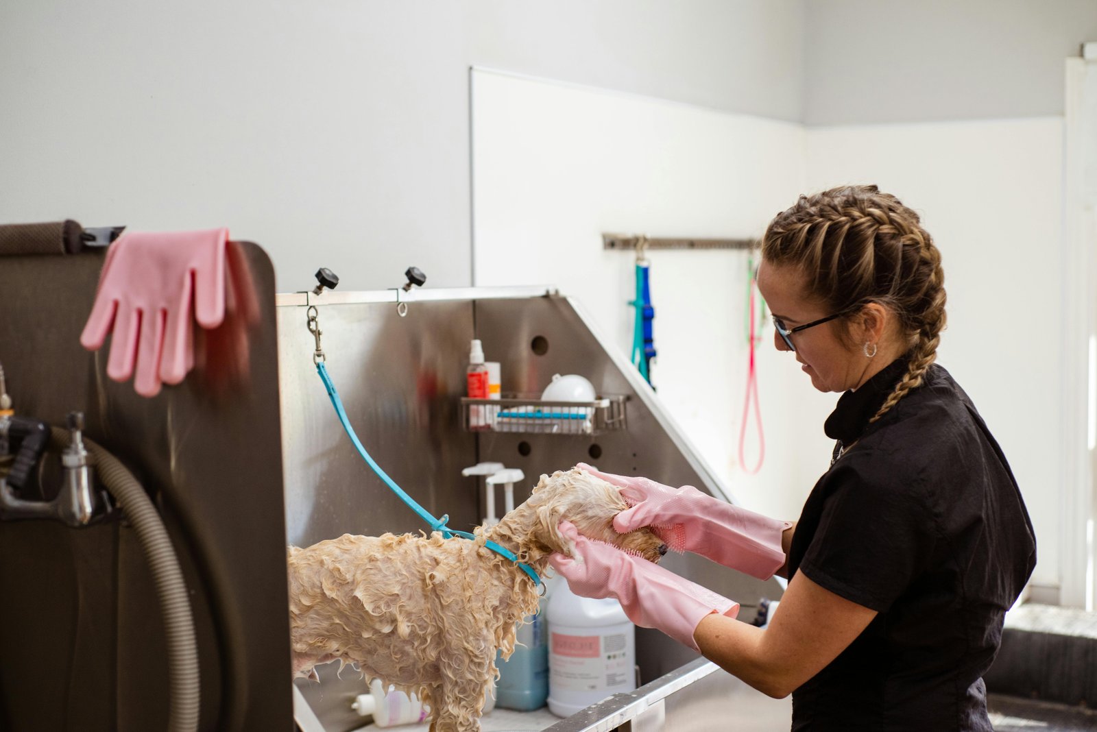Groomer Veterinaria Villarán