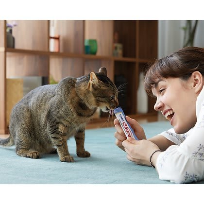 Churu Atún - Snak húmedo para gatos - Imagen 5