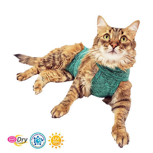 PetMed Faja Pos-Quirurgica para Gatos #1 - Imagen 2