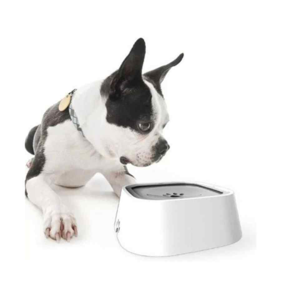 Claws & Paws - Bebedero para perros y gatos de 1 litro - Imagen 6